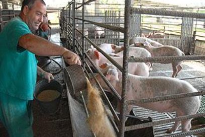 Camagüey sede por el día del trabajador agropecuario