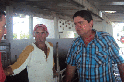 Buen contrato: alta productividad