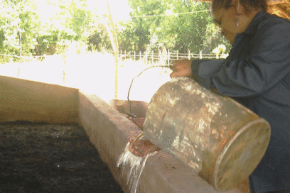 Crece producción de abonos orgánicos