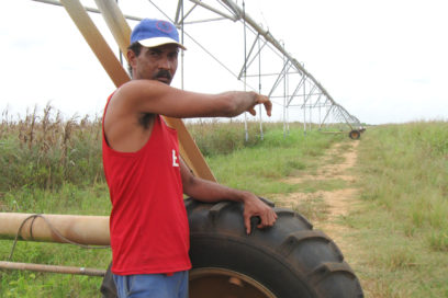 El Mamey se “pudrió”