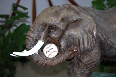 La manada está diezmada, pero ahí