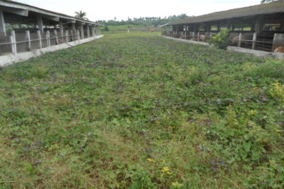 Multiplicar… la producción, no los gastos