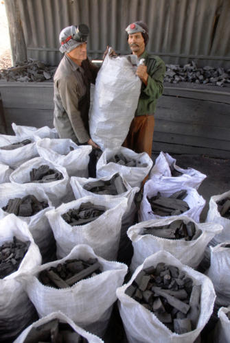 Para la exportación, el carbón vegetal debe pasar por un proceso de selección. Foto: Modesto Gutiérrez, AIN.