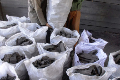 Un mal con beneficios