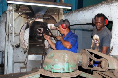 Reverencia ante la creación