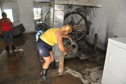 Persisten altos niveles de accidentalidad laboral