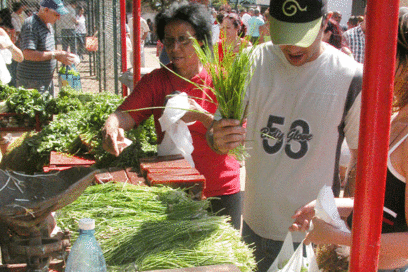 Alimentación-salud: una depende de la otra
