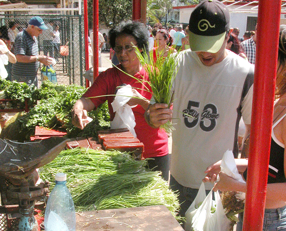 Foto: René Pérez Massola