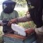 Con una cifra de 146, los apicultores agramontinos aumentan en número por cuarto año consecutivo.