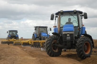 Sancti Spíritus: Buenos augurios para la producción arrocera