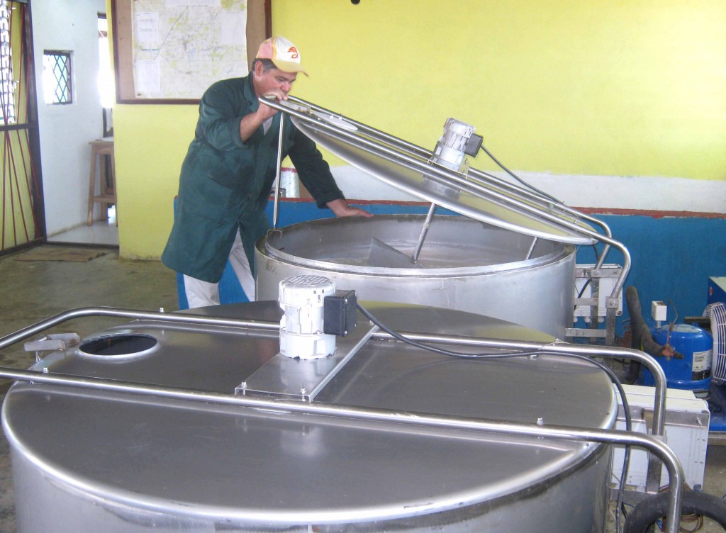 Los tanques de enfriamiento aseguran la temperatura adecuada para analizar la leche. Fotos: Miguel Febles Hernández.
