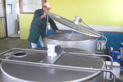 De la diversificación y otros ángeles