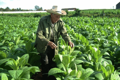 Hacia un nuevo Código de Trabajo: Un proyecto hacia el futuro