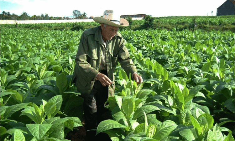 Foto: René Pérez Massola