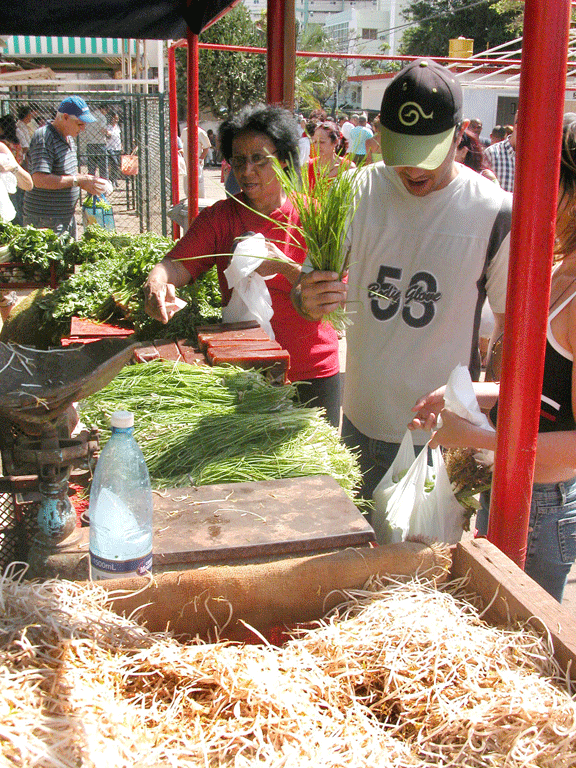La agricultura debe garantizar cantidad, calidad y diversidad de alimentos, para que además sean asequibles a la población.
