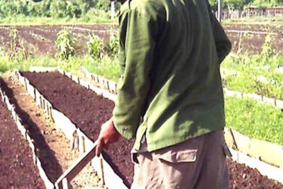 La 38, una ley vulnerada