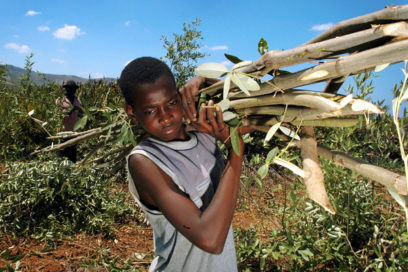 Cuba y Haití refuerzan colaboración en materia medioambiental