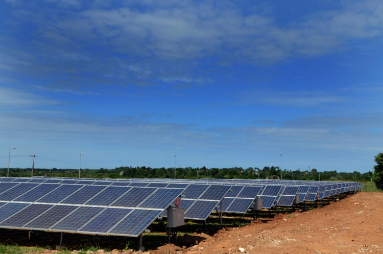 Foto: Joaquín Hernández Mena