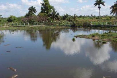 De humedales y agua se habla en Matanzas