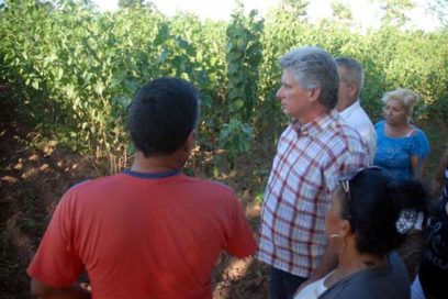 Llama Díaz-Canel a fomentar el diálogo y acentuar la acción