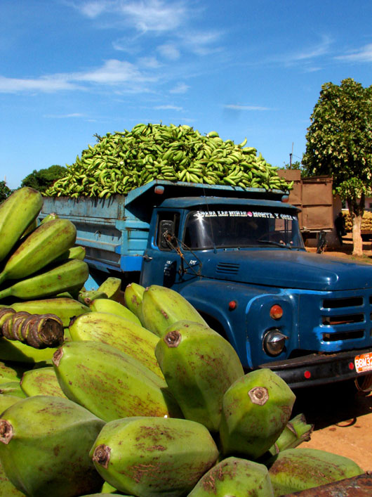 Una nueva experiencia para la comercialización agilizará la extracción de productos del agro y su distribución a las redes de mercados en La Habana, Artemisa y Mayabeque. Foto: René Pérez Massola