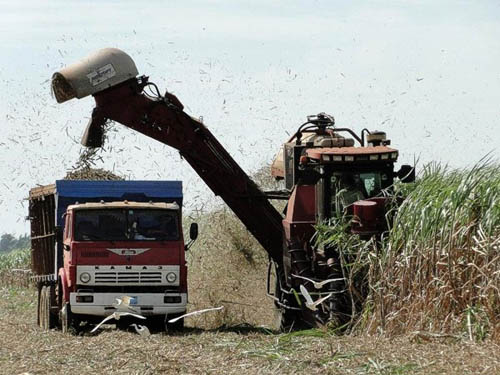 El propósito es hacer la mejor zafra de la última década El propósito es hacer la mejor zafra de la última década