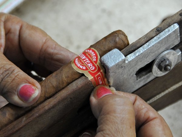 Sindicato de los Trabajadores Tabacaleros