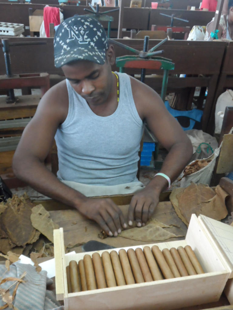 Misael Díaz, elegido el mejor torcedor según la última emulación en la Galera, reafirmó el impacto de Un tabaco cuenta en el aumento de la producción de la fábrica.