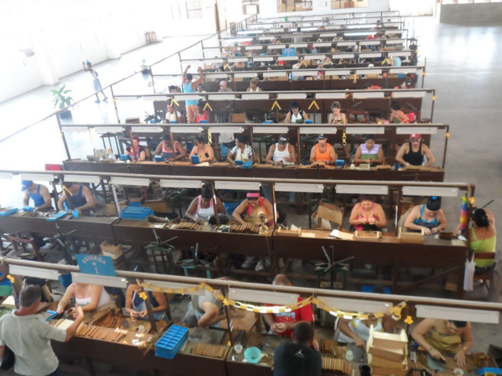 En aras de estimular la producción se implementó un sistema de emulación que involucró a las distintas áreas. En la Galera se articuló entre torcedores, entre vapores y entre brigadas. Fotos: Del autor