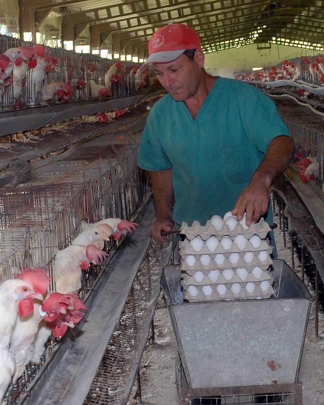 Foto: Miguel Rubiera Jústiz / AIN