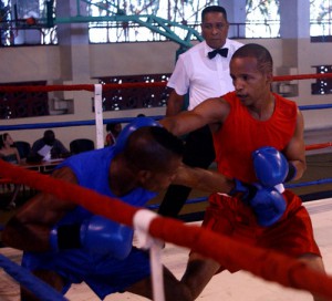 Roniel es el más premiado de los actuales fajadores cubanos. Foto: César A. Rodríguez