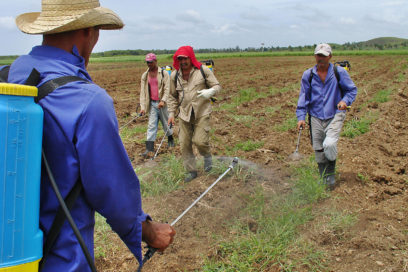 Cascabel para enemiga silenciosa
