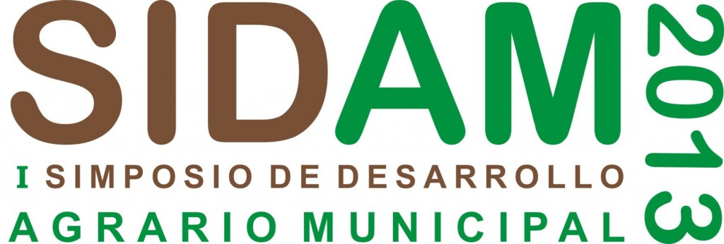 SIDAM 2013