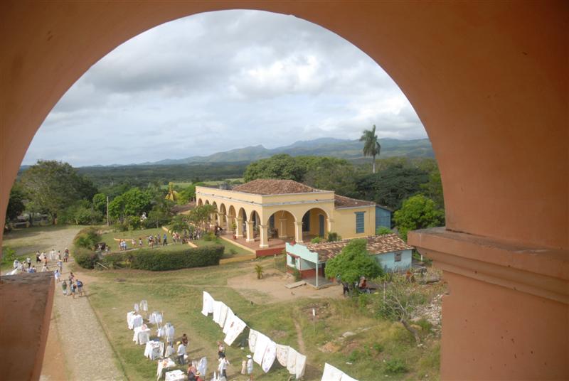 Fuerzas de la Empresa de Flora y Fauna trabajan por disminuir la presencia de marabú en los terrenos del Valle. Foto: Oscar Alfonso.