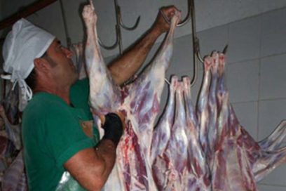 Impondrán récord en producción de carnes de ganado menor