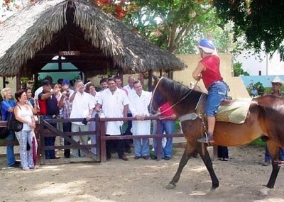 El movimiento tridimensional que el caballo ejecuta al caminar se transmite a la parte motora del cerebro del jinete. Foto: TV Camagüey