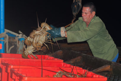 Agua a la vista! Y langostas también