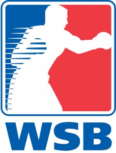 logo WSB copia