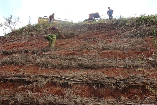 En la protección de taludes utilizan diferentes técnicas y materiales.