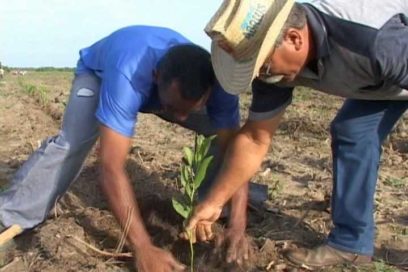 Agropecuarios, Forestales y Tabacaleros: Conferencia convocada, ahora toca hacer