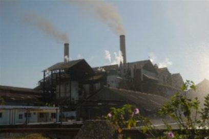 Producción azucarera: Uruguay inició la dulce travesía