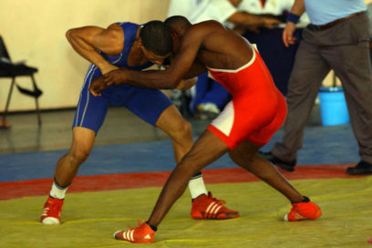 Primeros monarcas nacionales del 2014