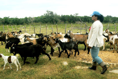 El CIBA: Bioalimentos y más ciencia