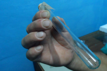 La ciencia del buen café