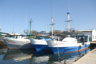 La flota langostera de Casilda posee los mejores resultados del país en la implementación del GPS. Foto: Vicente Brito