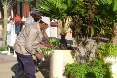 Insólita depredación