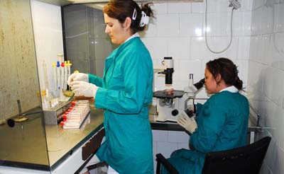 Más de 20 años de investigación consolidan al centro como referente en el país. Genética. Foto; Vicente Brito