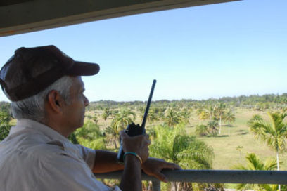 Jardín Botánico Nacional, centro perfecto para pasarlo en familia