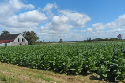 Siempre es 26 en Consolación