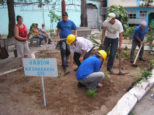 Los delegados sembraron las plantas ornamentales frente al central Urbano Noris.